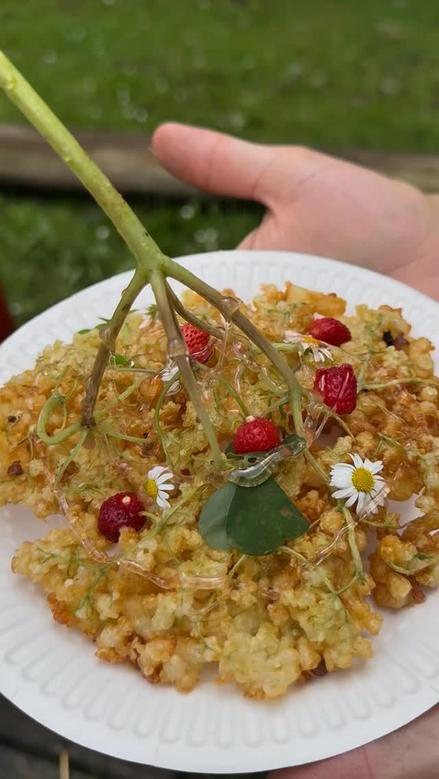 Masterchef 👩🏽🍳🔥
Friluftsliv rundede i går linjefaget af med en omgang Masterchef. Der blev blandt andet lavet tacos, gyoza, sliders, pandekager med hyldeblomst og hjemmelavet sirup - alt sammen på bål og trangia #højskole #friluftsliv #nrgaards