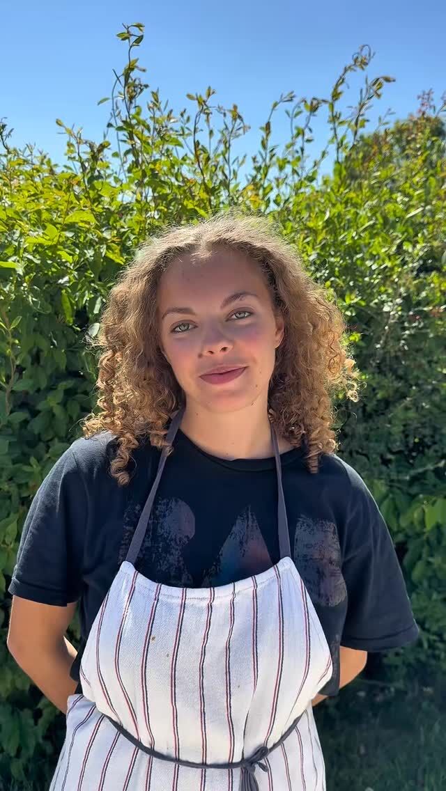 Hvordan beskrives et ophold på Nørgaards Højskole bedst? Vi har givet F25 den svære opgave at beskrive det med bare ét ord. Se videoen og hør deres svar 🌞 #højskole #højskoleliv #fællesskab #nrgaards