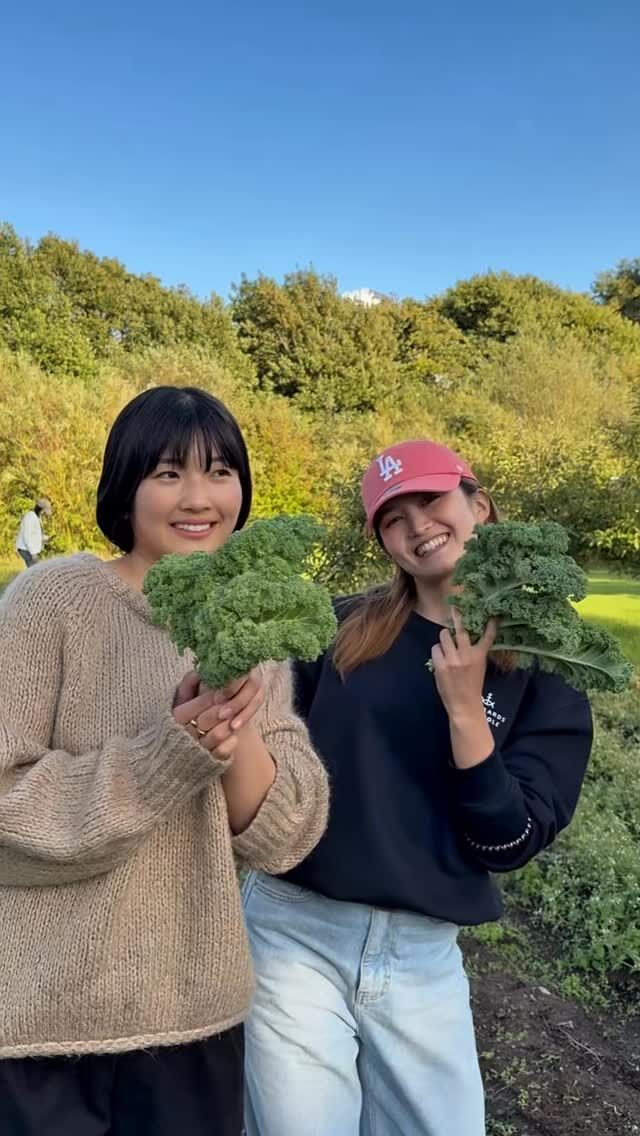 A great afternoon with the international students 🌞 Yesterday, the international students visited their teacher Annemette, who lives in a co-housing community. They learned about shared living, picked fresh vegetables from the garden, and cooked together - a great mix of Danish culture and “hygge”.

Each semester, 8-12 students from all over the world join our school 🌍 Do you want to become an international student at Nørgaards Højskole? Feel free to contact us at adm@nrgaard.dk - we’d love to hear from you!